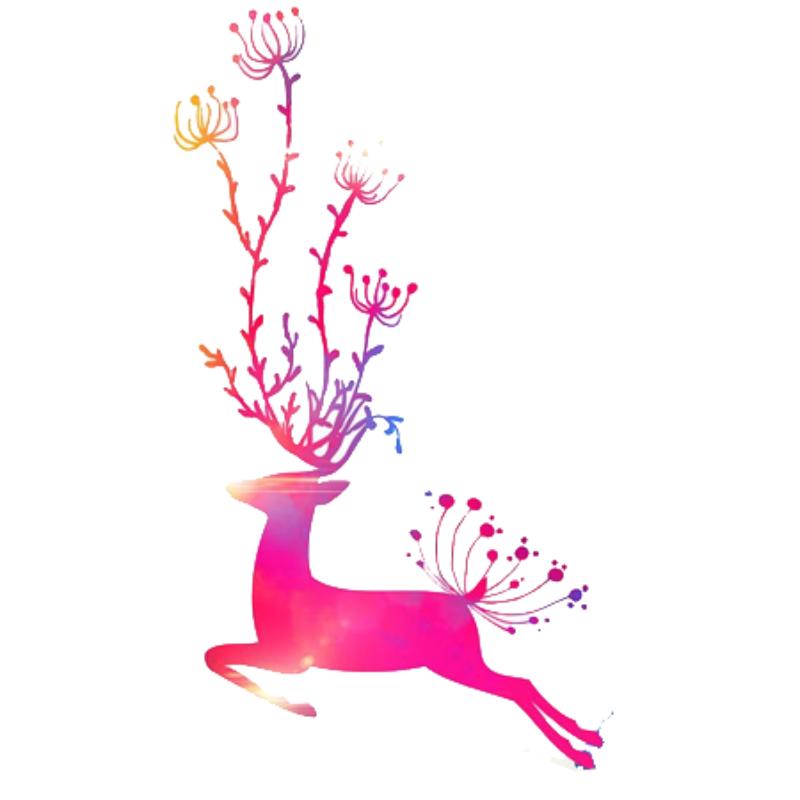 Heat transfers Iron on stickers  highland cow 145 for Tshirts Iron on Decal Patches Stickers Clothes Hat Pillows DIY Crafts