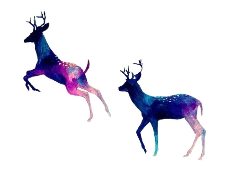 Heat transfers Iron on stickers  highland cow 144 for Tshirts Iron on Decal Patches Stickers Clothes Hat Pillows DIY Crafts