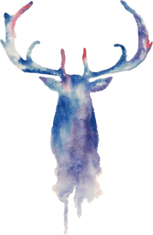 Heat transfers Iron on stickers  highland cow 142 for Tshirts Iron on Decal Patches Stickers Clothes Hat Pillows DIY Crafts