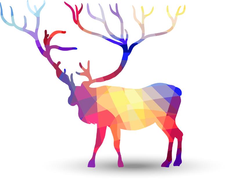 Heat transfers Iron on stickers  highland cow 140 for Tshirts Iron on Decal Patches Stickers Clothes Hat Pillows DIY Crafts