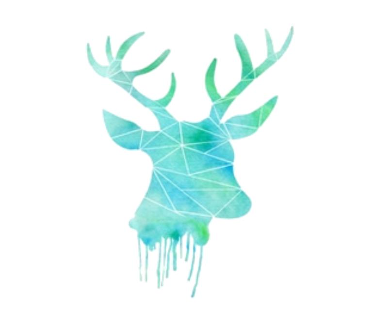 Heat transfers Iron on stickers  highland cow 13 for Tshirts Iron on Decal Patches Stickers Clothes Hat Pillows DIY Crafts