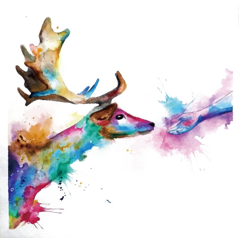 Heat transfers Iron on stickers  highland cow 129 for Tshirts Iron on Decal Patches Stickers Clothes Hat Pillows DIY Crafts