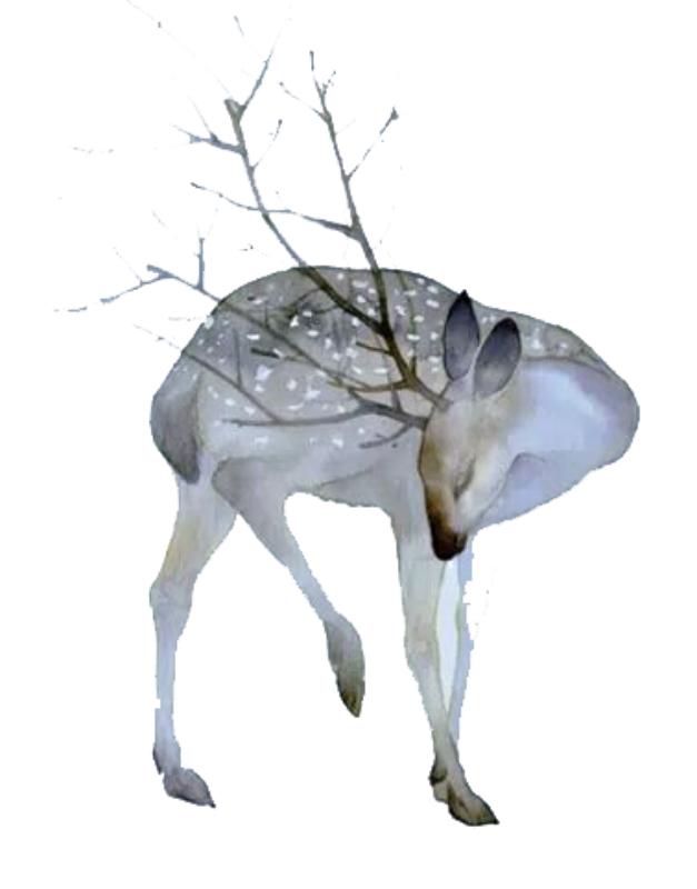 Heat transfers Iron on stickers  highland cow 128 for Tshirts Iron on Decal Patches Stickers Clothes Hat Pillows DIY Crafts