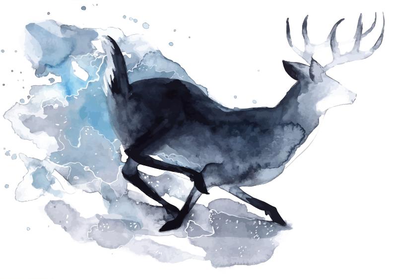 Heat transfers Iron on stickers  highland cow 124 for Tshirts Iron on Decal Patches Stickers Clothes Hat Pillows DIY Crafts