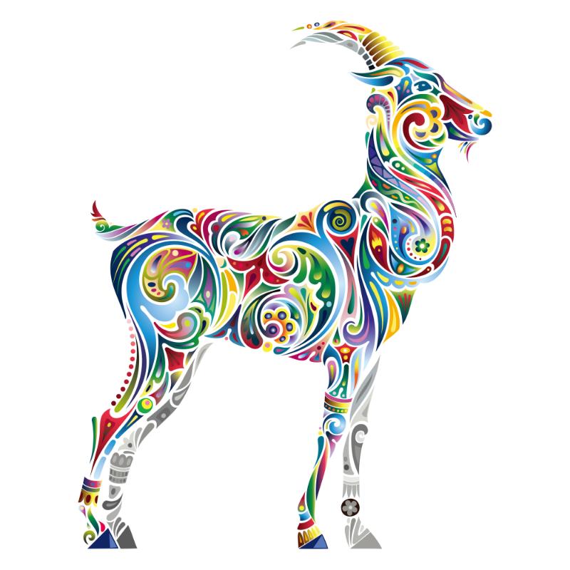 Heat transfers Iron on stickers  highland cow 117 for Tshirts Iron on Decal Patches Stickers Clothes Hat Pillows DIY Crafts