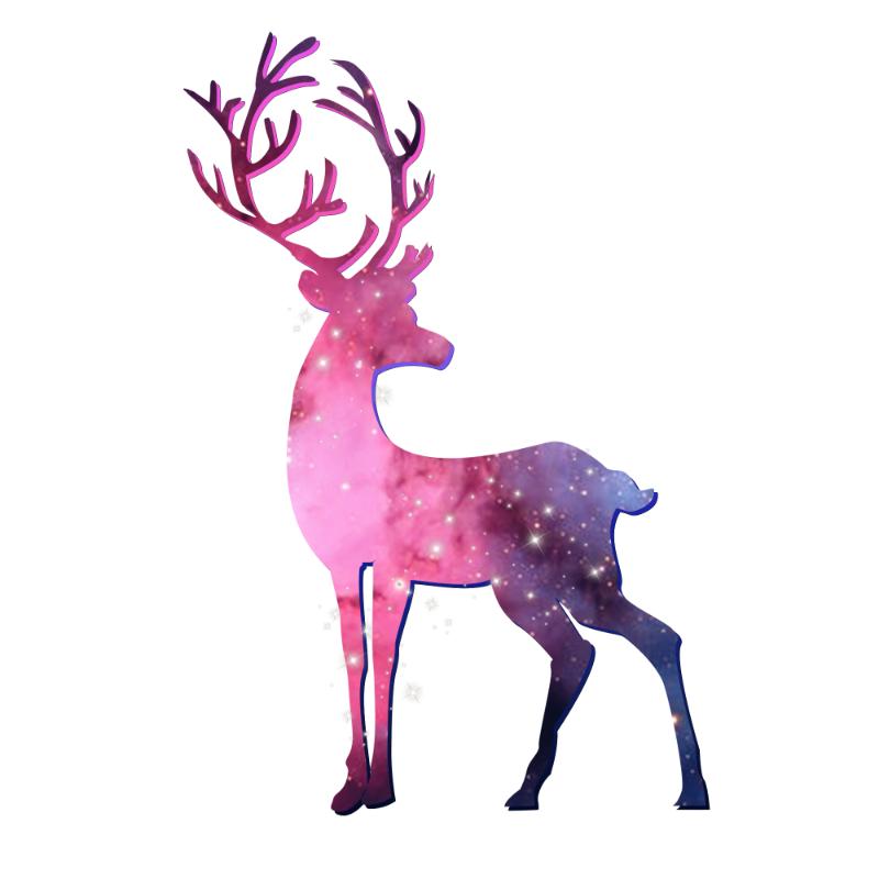 Heat transfers Iron on stickers  highland cow 114 for Tshirts Iron on Decal Patches Stickers Clothes Hat Pillows DIY Crafts