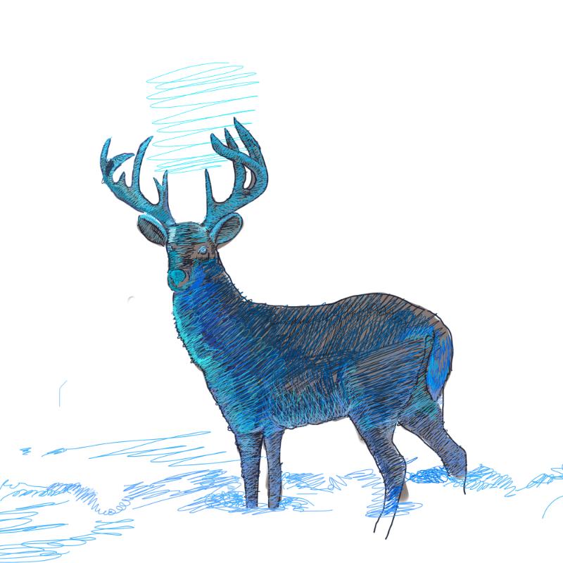 Heat transfers Iron on stickers  highland cow 112 for Tshirts Iron on Decal Patches Stickers Clothes Hat Pillows DIY Crafts