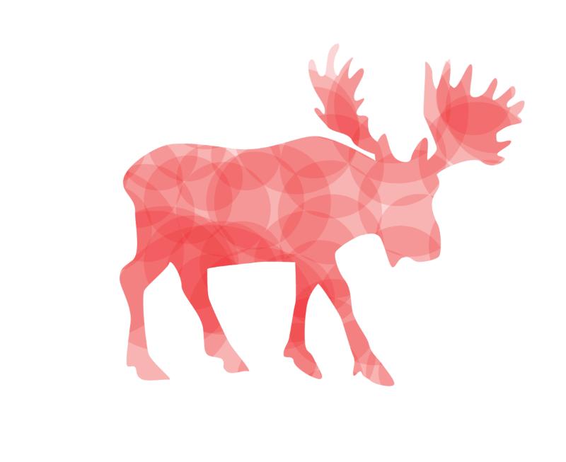 Heat transfers Iron on stickers  highland cow 105 for Tshirts Iron on Decal Patches Stickers Clothes Hat Pillows DIY Crafts