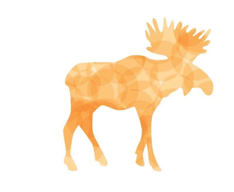 Heat transfers Iron on stickers  highland cow 103 for Tshirts Iron on Decal Patches Stickers Clothes Hat Pillows DIY Crafts