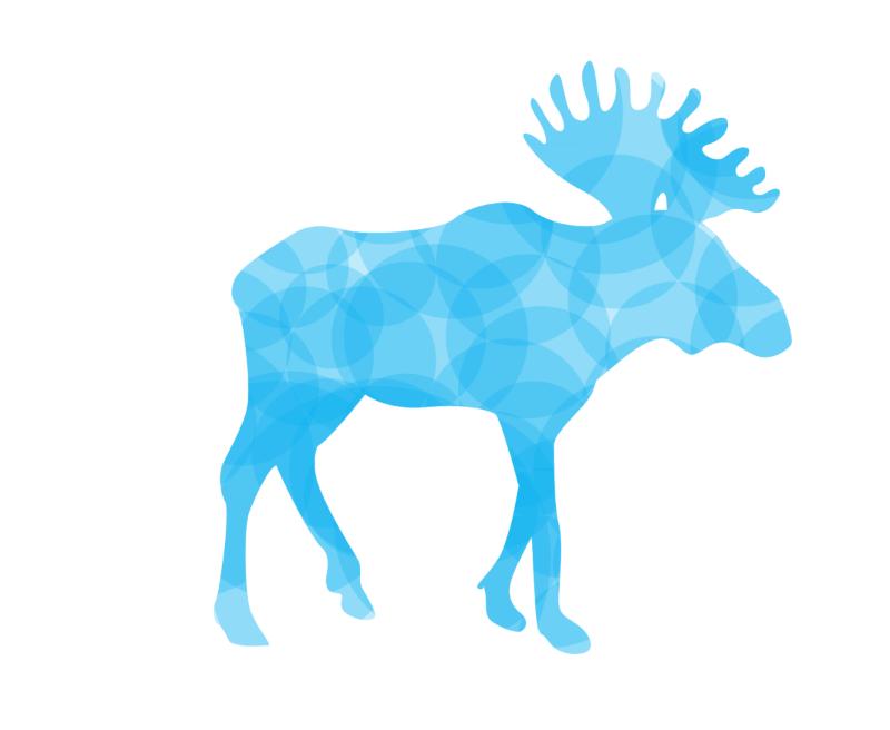 Heat transfers Iron on stickers  highland cow 102 for Tshirts Iron on Decal Patches Stickers Clothes Hat Pillows DIY Crafts