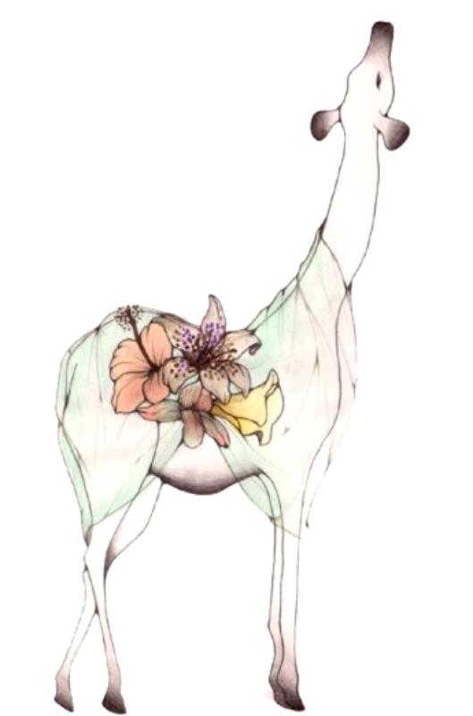 UV DTF decal Stickers cup wraps small decals highland cow 314 for Cup, glass, mugs, phone case, car decals, DIY stickers UV DTF Transfer stickers wraps DIY Crafts