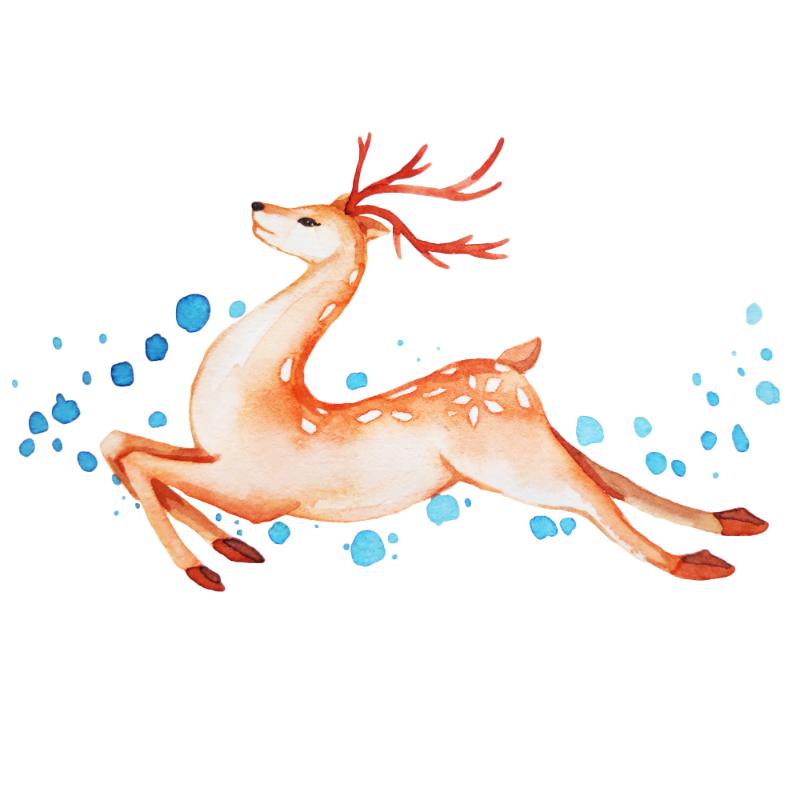 Heat transfers Iron on stickers  highland cow 276 for Tshirts Iron on Decal Patches Stickers Clothes Hat Pillows DIY Crafts