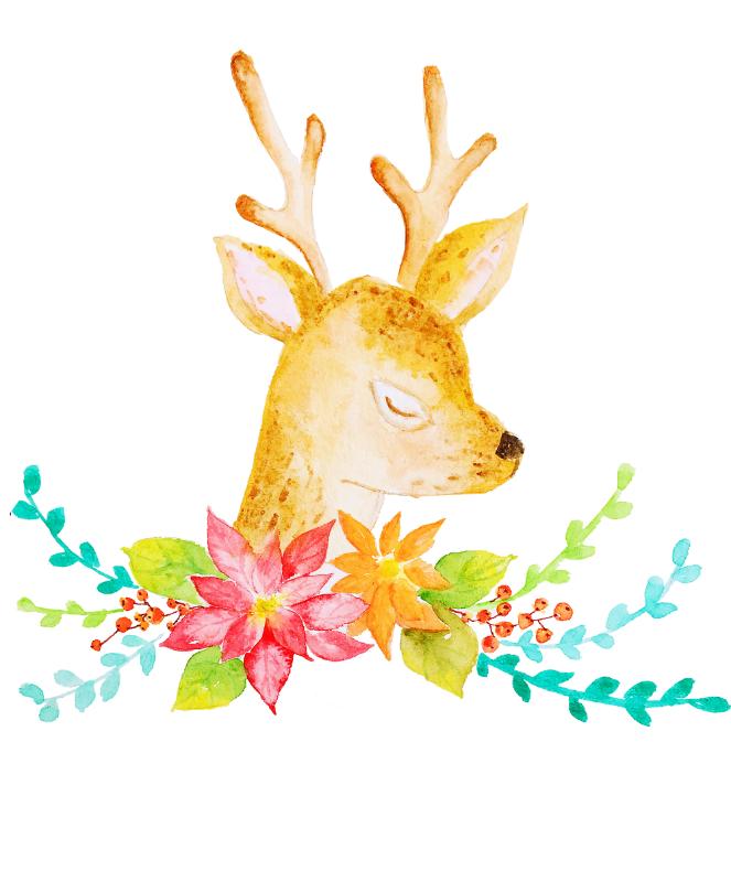 Heat transfers Iron on stickers  highland cow 27 for Tshirts Iron on Decal Patches Stickers Clothes Hat Pillows DIY Crafts