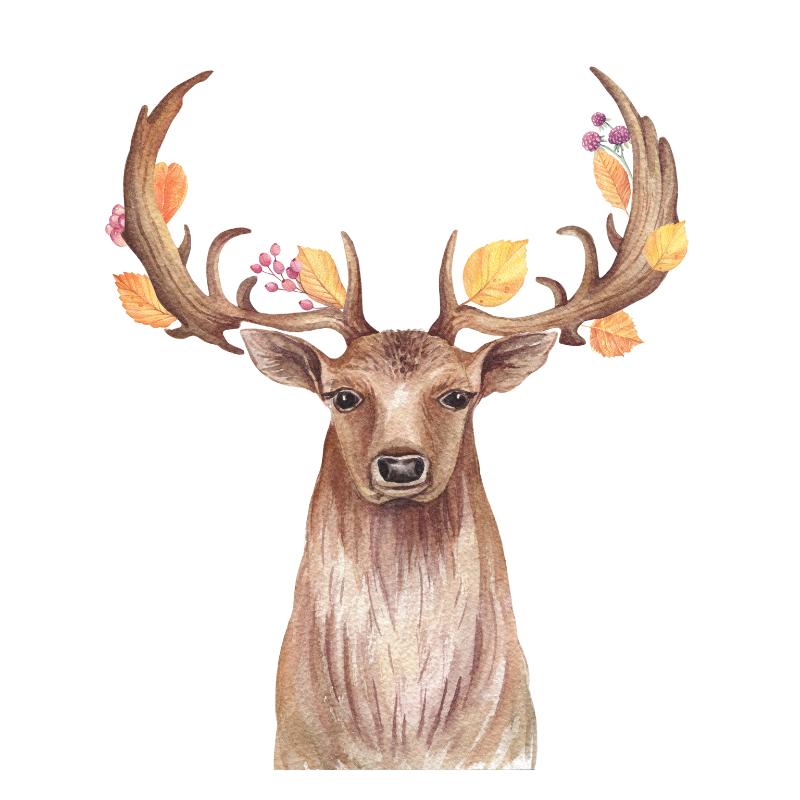 UV DTF decal Stickers cup wraps small decals highland cow 334 for Cup, glass, mugs, phone case, car decals, DIY stickers UV DTF Transfer stickers wraps DIY Crafts