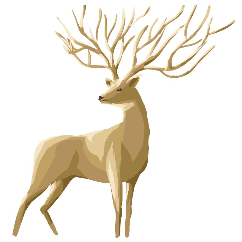 Heat transfers Iron on stickers  highland cow 254 for Tshirts Iron on Decal Patches Stickers Clothes Hat Pillows DIY Crafts