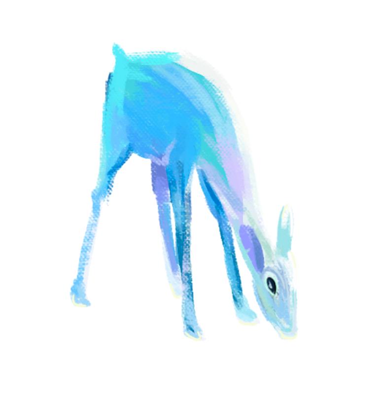 Heat transfers Iron on stickers  highland cow 249 for Tshirts Iron on Decal Patches Stickers Clothes Hat Pillows DIY Crafts