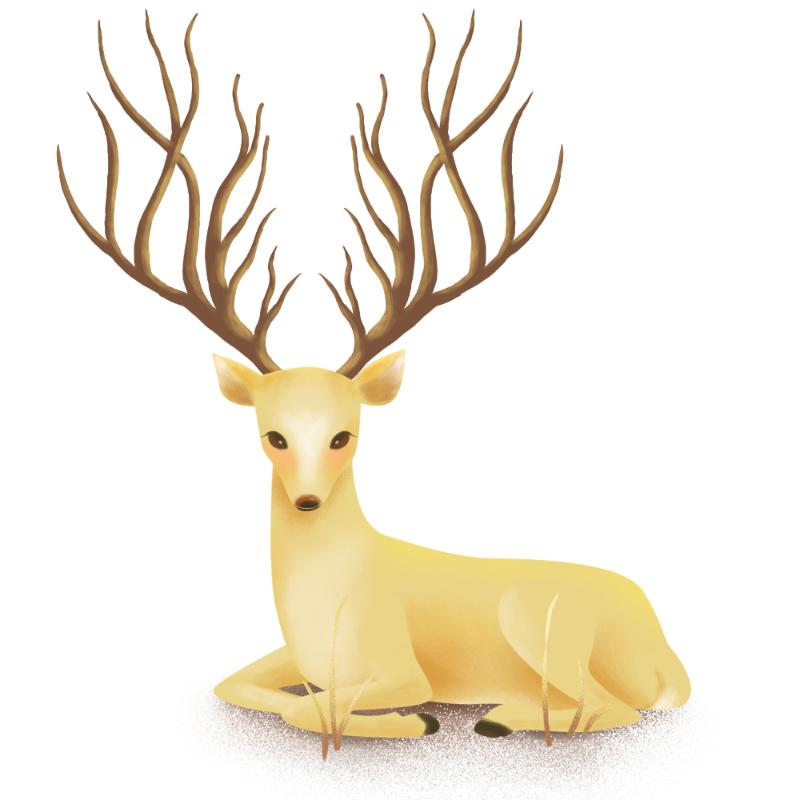 Heat transfers Iron on stickers  highland cow 237 for Tshirts Iron on Decal Patches Stickers Clothes Hat Pillows DIY Crafts