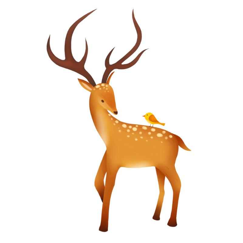 Heat transfers Iron on stickers  highland cow 235 for Tshirts Iron on Decal Patches Stickers Clothes Hat Pillows DIY Crafts