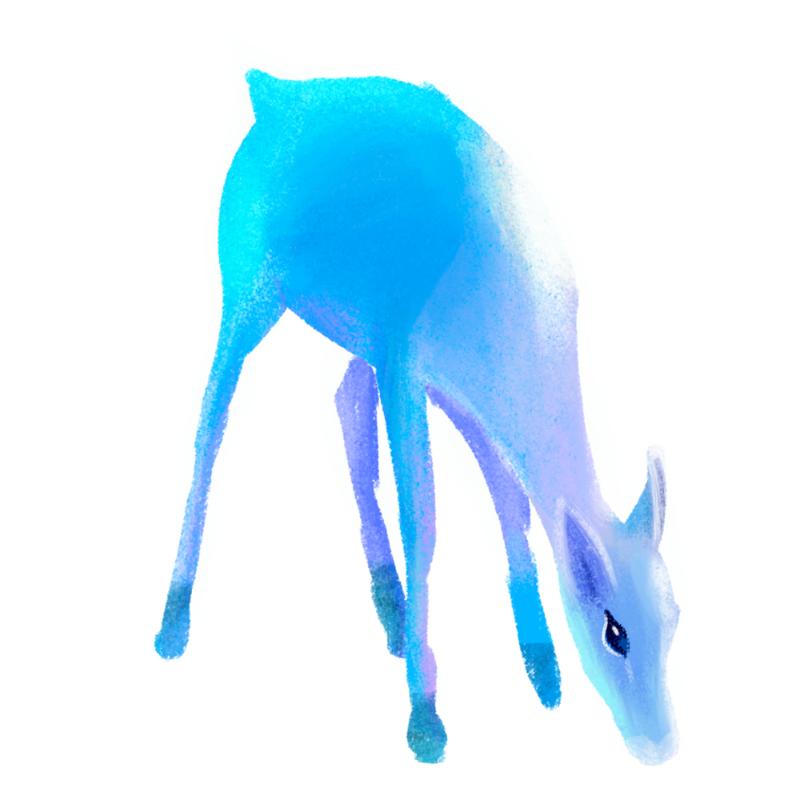 Heat transfers Iron on stickers  highland cow 232 for Tshirts Iron on Decal Patches Stickers Clothes Hat Pillows DIY Crafts