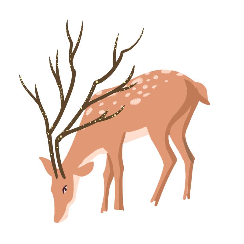 Heat transfers Iron on stickers  highland cow 228 for Tshirts Iron on Decal Patches Stickers Clothes Hat Pillows DIY Crafts