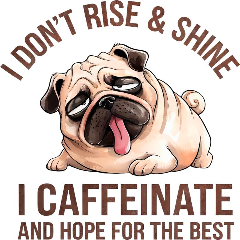 Heat transfers Iron on stickers  eagle 13 for Tshirts Iron on Decal Patches Stickers Clothes Hat Pillows DIY Crafts