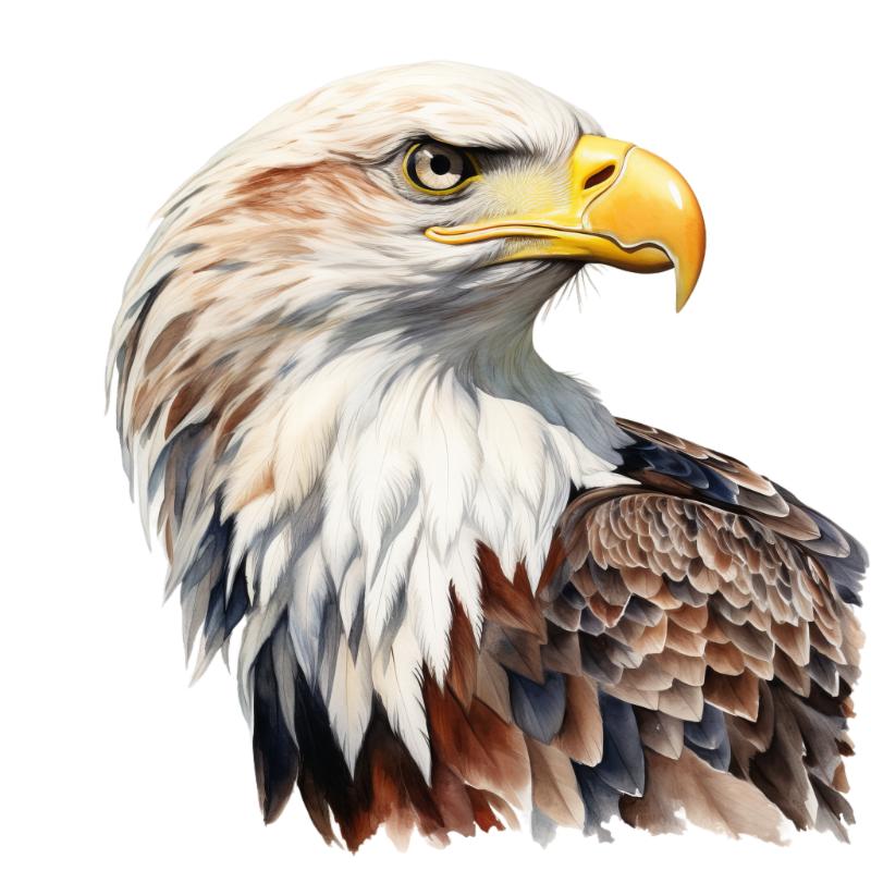 Heat transfers Iron on stickers  dog 112 for Tshirts Iron on Decal Patches Stickers Clothes Hat Pillows DIY Crafts