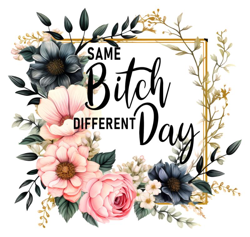 UV DTF decal Stickers cup wraps small decals Obscene Curse Swear Bad words 131 for Cup, glass, mugs, phone case, car, computer, furniture decals, DIY stickers UV DTF Transfer stickers wraps DIY Crafts