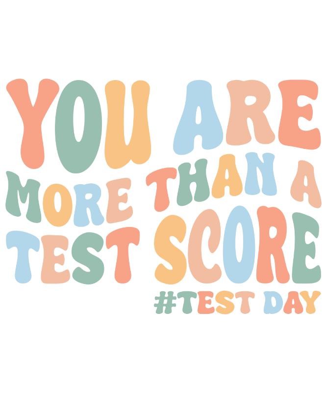 Heat transfers Iron on stickers  Class student shirt 58 for Tshirts Iron on Decal Patches Stickers Clothes Hat Pillows DIY Crafts