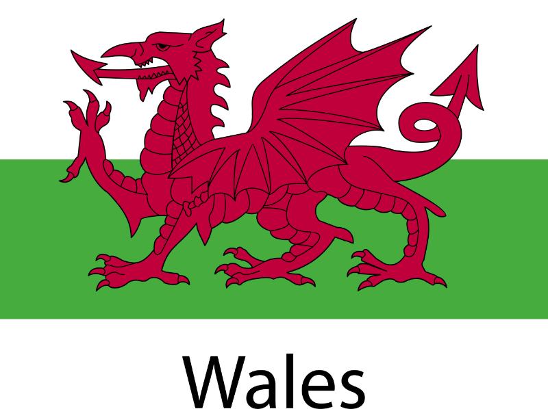 UV DTF decal Stickers cup wraps small decals country 81 for Cup, glass, mugs, phone case, car, computer, furniture decals, DIY stickers UV DTF Transfer stickers wraps DIY Crafts