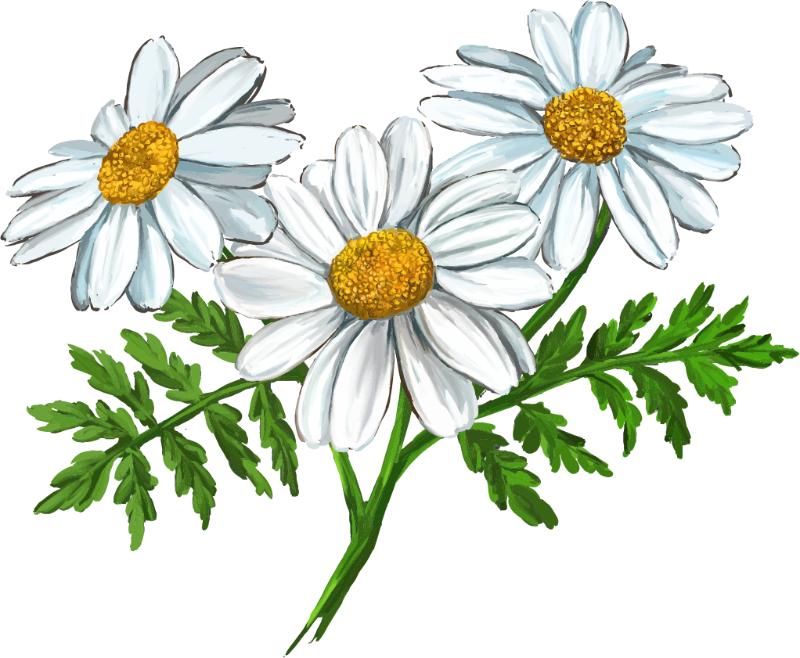 UV DTF decal Stickers cup wraps small decals flower 326 for Cup, glass, mugs, phone case, car, computer, furniture decals, DIY stickers UV DTF Transfer stickers wraps DIY Crafts