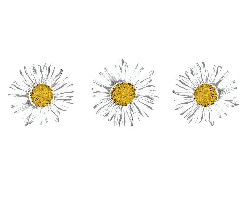 UV DTF decal Stickers cup wraps small decals flower 325 for Cup, glass, mugs, phone case, car, computer, furniture decals, DIY stickers UV DTF Transfer stickers wraps DIY Crafts