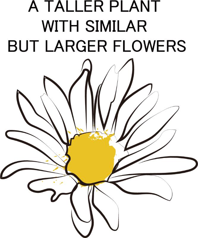 UV DTF decal Stickers cup wraps small decals flower 320 for Cup, glass, mugs, phone case, car, computer, furniture decals, DIY stickers UV DTF Transfer stickers wraps DIY Crafts