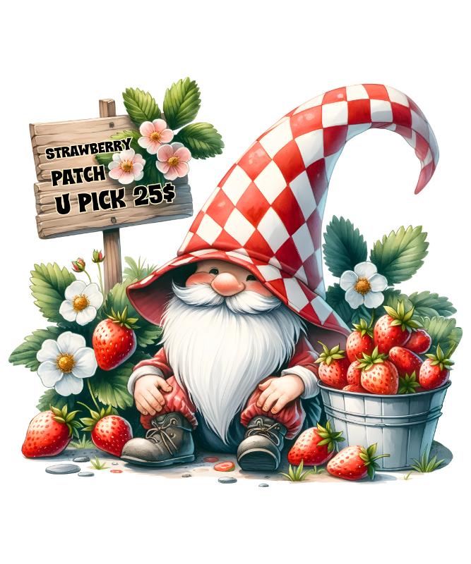 Heat transfers Iron on stickers  fruit 33 for Tshirts Iron on Decal Patches Stickers Clothes Hat Pillows DIY Crafts