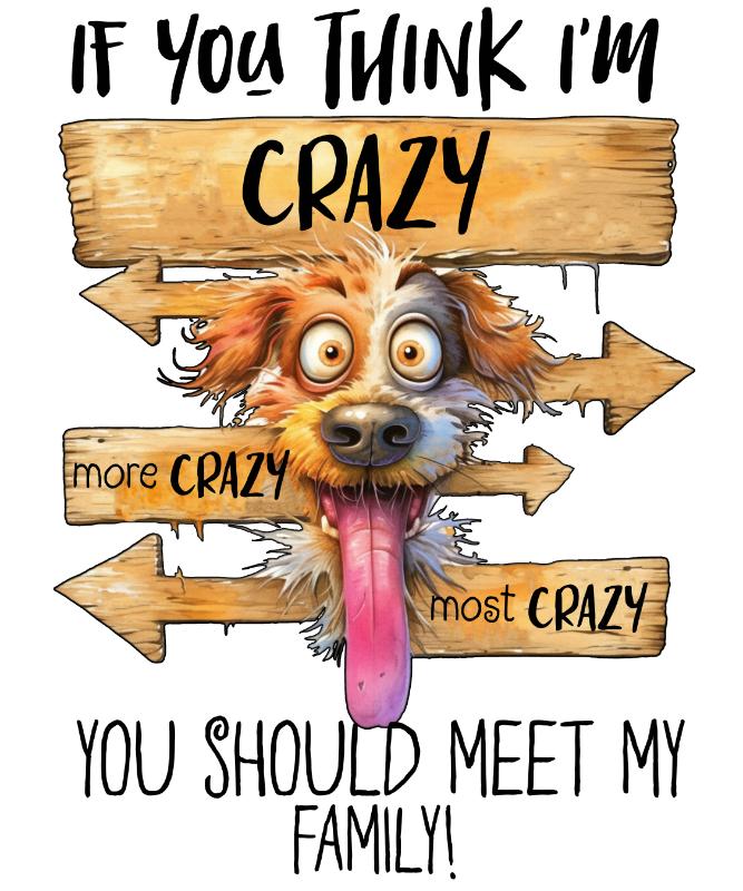 UV DTF decal Stickers cup wraps small decals funny word 51 for Cup, glass, mugs, phone case, car, computer, furniture decals, DIY stickers UV DTF Transfer stickers wraps DIY Crafts