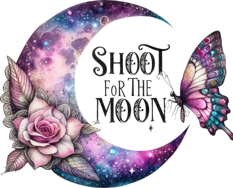 Heat transfers Iron on stickers  Constellation zodiac 39 for Tshirts Iron on Decal Patches Stickers Clothes Hat Pillows DIY Crafts