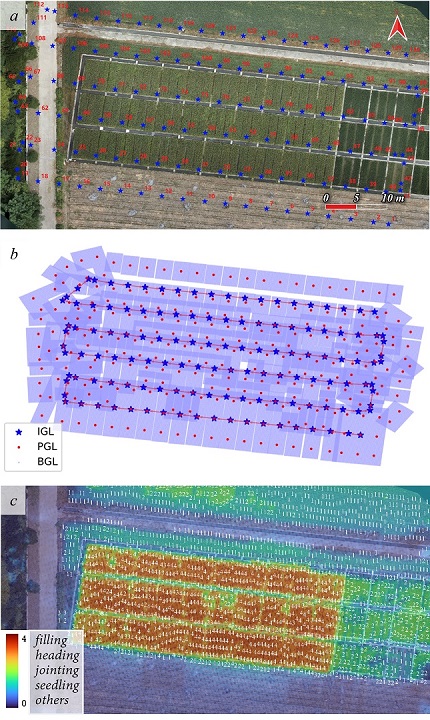 Figure 12. Rice Phenology Mapping at DJD-5 Experimental Field: a. Drone Waypoints of Image Capture; b. Sparse Sampled Patch-Boxes Distribution; c. Distribution Map of Rice Phenology with Interpolation