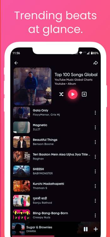 Screenshot 4 of BloomeeTunes — opens full size