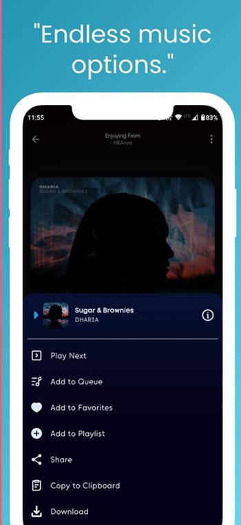 Screenshot 5 of BloomeeTunes — opens full size