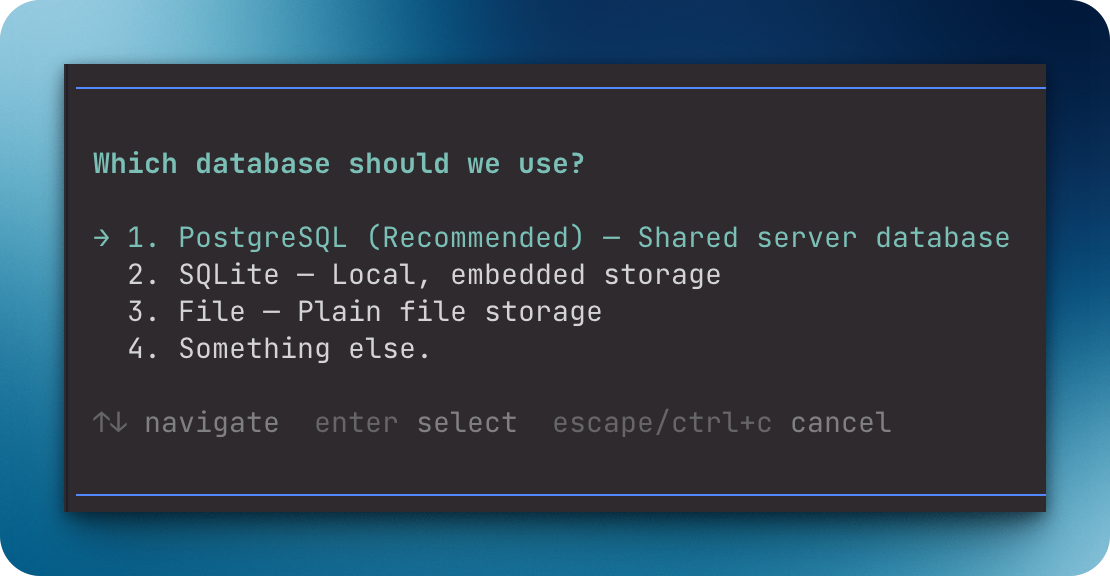 Pi asking the user to choose a database