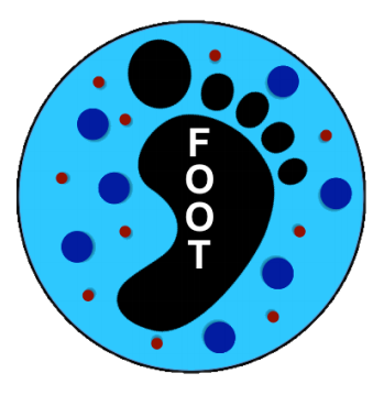 FOOT