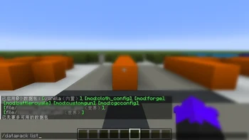 Custom Gun Continued