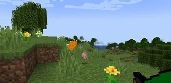 Nugget Mod