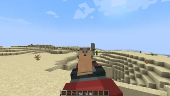 Pirate Guns