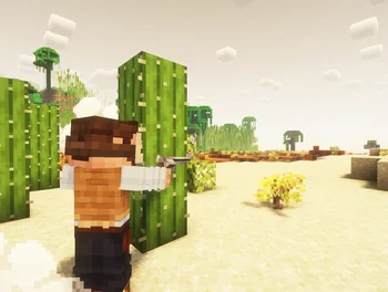 Muskets 3D Wild West for Ewewkek's