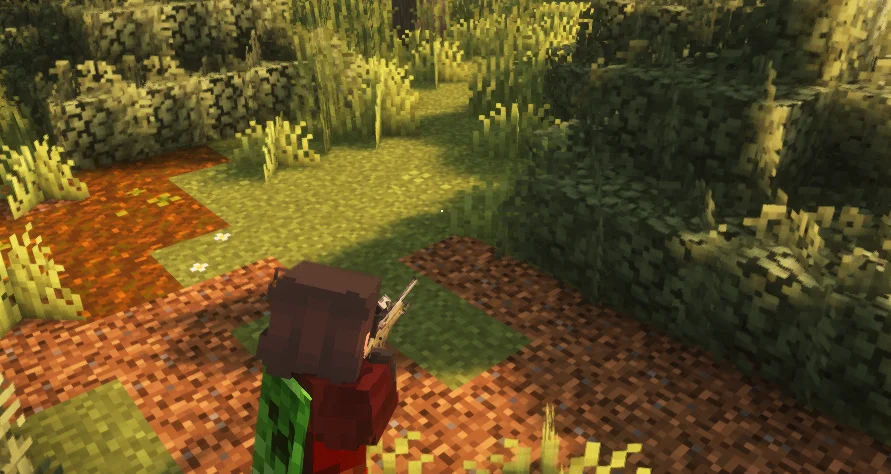 TaCZ: Leawind's Third Person Compat