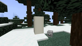 Bedrock's Skeleton