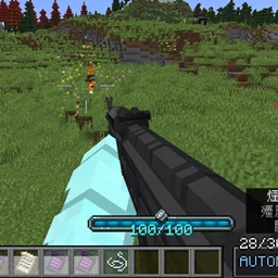 Iron's Point Blank