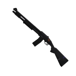 Magazine Fed Shotgun Point Blank