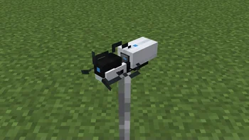 Portal Bow