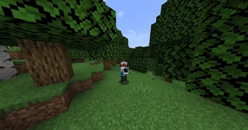 Immersive Portal Gun (Forge) ReTexture